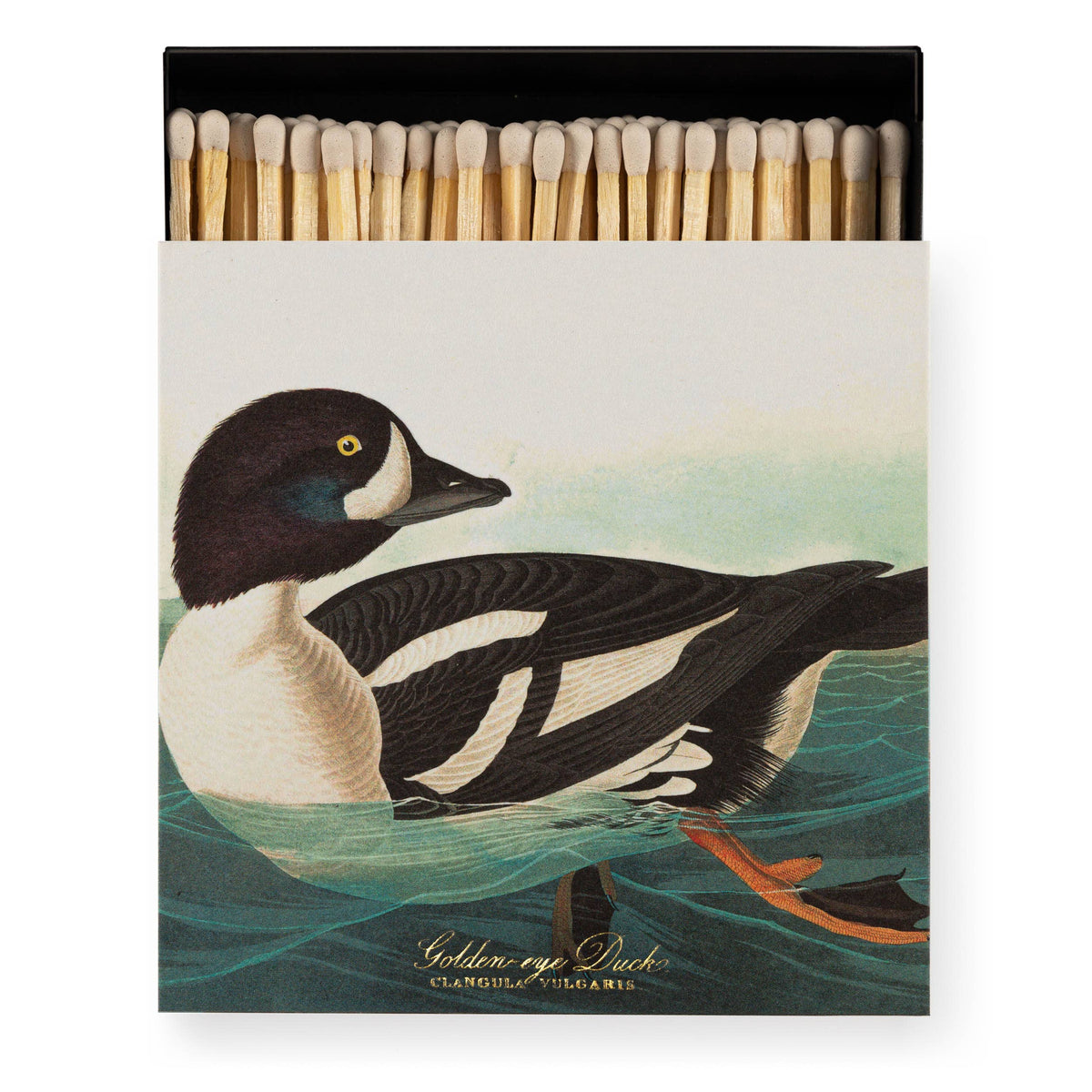 Golden-Eye Duck | Square - Safety Matches - Goldenfinch Boutique