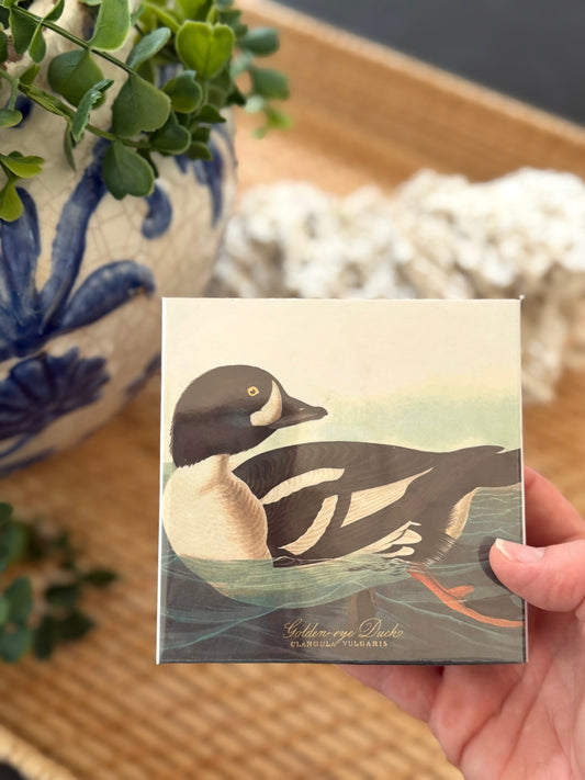 Golden-Eye Duck Safety Matches - Goldenfinch Boutique